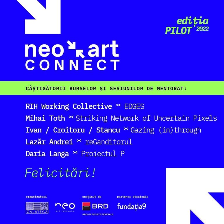 NEO ART CONNECT CASTIGATORI (2)