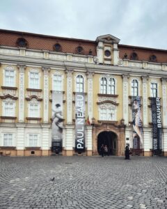 Muzeul National de Arta TM