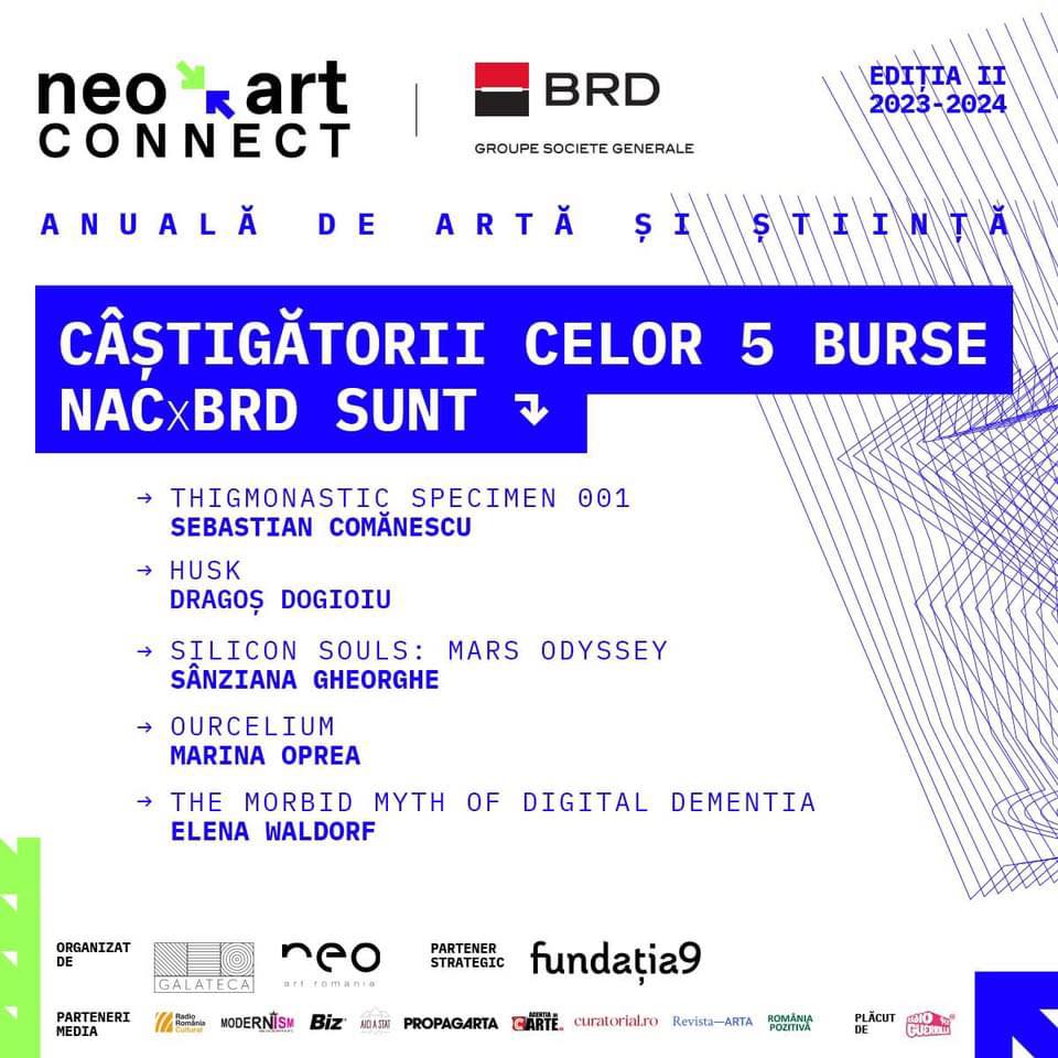 Neo Art Connect anunță câștigătorii Programului de Burse și Mentorat în valoare de 5000 de Euro