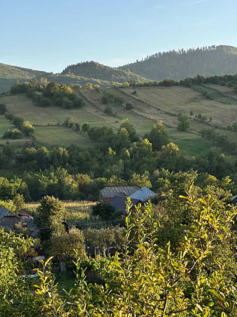 Panoramă peste Cucuieți