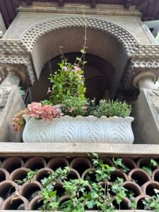 image00001